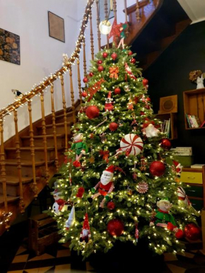 Sojolidays - Appartements d'hôtes sur la Route des Vins d'Alsace